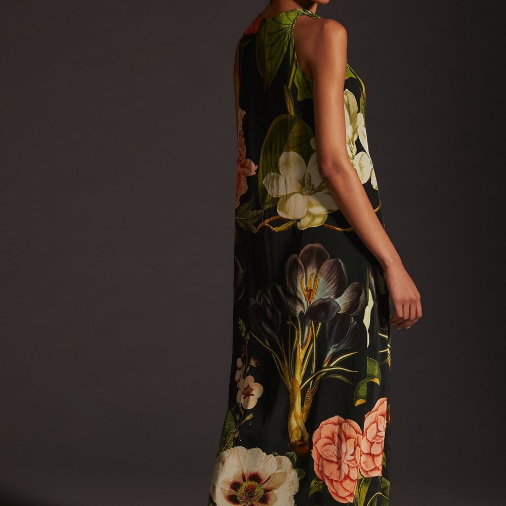 COPY - New with tags Siddhartha Bandal Haltar Maxi Dress - Picture 4 of 6